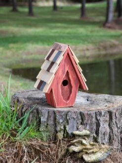 Vintage Wren Bird House -Garden Care Store 8612783 03v