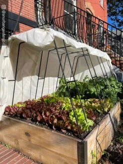 Cotton All Purpose Garden Cover 11 Cotton All Purpose Garden Cover -Garden Care Store 8612816 01CUST