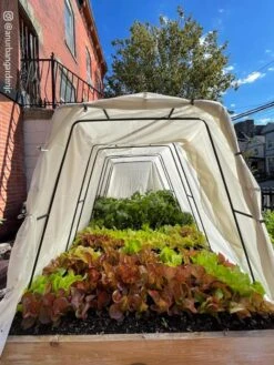 Cotton All Purpose Garden Cover 12 Cotton All Purpose Garden Cover -Garden Care Store 8612816 03CUST