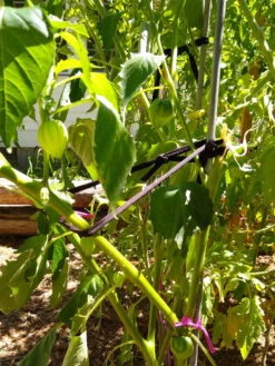 Farmyarn® Multipurpose Garden Tie, 2 Pack -Garden Care Store 8612948 02v