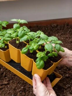 Gardener's Best® XL 6-Cell Planting Tray, Set Of 4 -Garden Care Store 8613031 6300