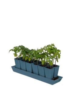 Gardener's Best® XL Seed Starting Kit -Garden Care Store 8613066 0029