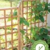 Bamboo Zig-Zag Trellis 24" X 36" -Garden Care Store 8613151 15