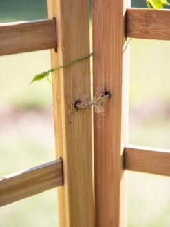 Bamboo Zig-Zag Trellis 24" X 36" -Garden Care Store 8613151 6483