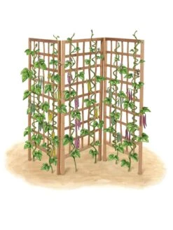 Bamboo Zig-Zag Trellis 24" X 36" -Garden Care Store 8613151 art flat