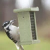 Birds Choiceâ„¢ Suet Feeder 2 Birds Choiceâ„¢ Suet Feeder -Garden Care Store 8613219 04v birds choice suet feeder