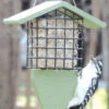 Birds Choice™ Tail Prop Feeder -Garden Care Store 8613220 08v