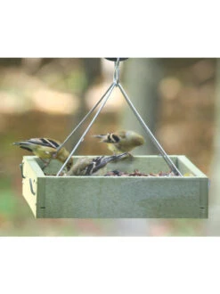 Birds Choice™ Tray Bird Feeder, Small 8 Birds Choice™ Tray Bird Feeder, Small -Garden Care Store 8613221 03v