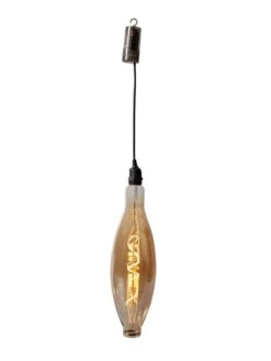 Retro Essence™ Vintage LED Light Bulbs -Garden Care Store 8613229 5979