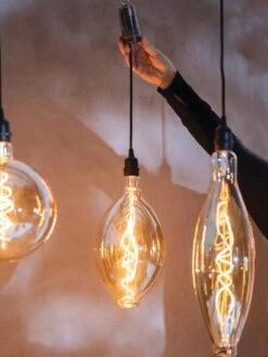 Retro Essence™ Vintage LED Light Bulbs -Garden Care Store 8613229 7066