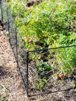 Chicken Wire Critter Fence, 16" High 19 Chicken Wire Critter Fence, 16" High -Garden Care Store 8613249 0309