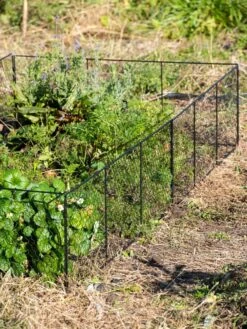 Chicken Wire Critter Fence, 16" High 20 Chicken Wire Critter Fence, 16" High -Garden Care Store 8613249 0336