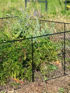 Chicken Wire Critter Fence, 16" High 16 Chicken Wire Critter Fence, 16" High -Garden Care Store 8613249 0352