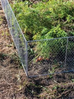 Chicken Wire Critter Fence, 16" High 17 Chicken Wire Critter Fence, 16" High -Garden Care Store 8613249 0358