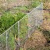 Chicken Wire Critter Fence, 16" High 2 Chicken Wire Critter Fence, 16" High -Garden Care Store 8613249 0368 chicken wire critter fence 16 inches high