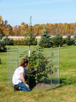 Tall Chicken Wire Critter Fence With Gate -Garden Care Store 8613260 0044