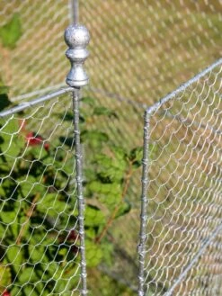Tall Chicken Wire Critter Fence With Gate -Garden Care Store 8613260 0083