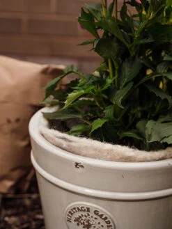 Hortiwool ®, 5 Pad Pack -Garden Care Store 8613263 17v