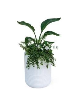 Arden Round Planter -Garden Care Store 8613267 0115