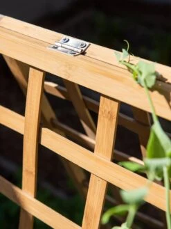 Bambo A Frame Plant Support, 30" X 42.5" 15 Bambo A Frame Plant Support, 30" X 42.5" -Garden Care Store 8613310 6525