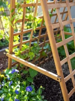 Bambo A Frame Plant Support, 30" X 42.5" 13 Bambo A Frame Plant Support, 30" X 42.5" -Garden Care Store 8613310 6556