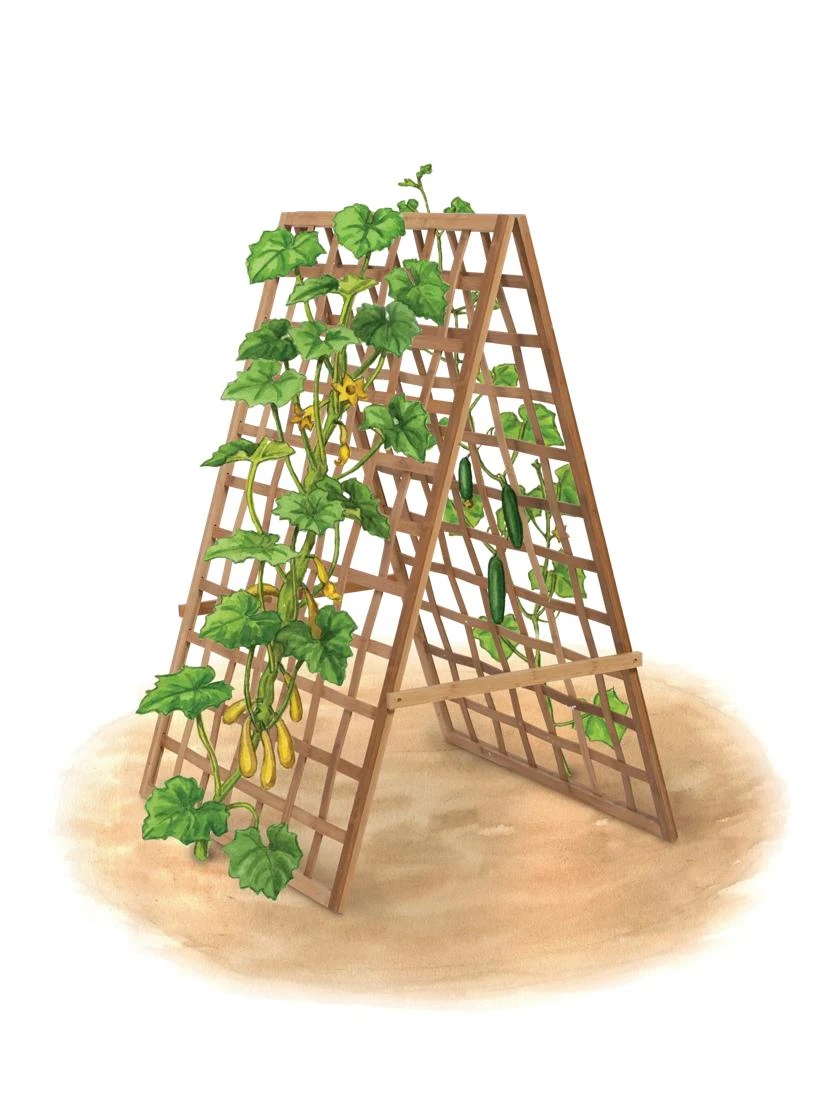 Bambo A Frame Plant Support, 30" X 42.5" 8 Bambo A Frame Plant Support, 30" X 42.5" - Image 6