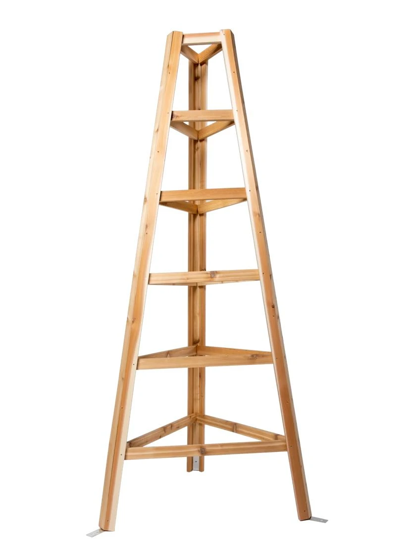 Cedar Obelisk, 8' 4 Cedar Obelisk, 8' - Image 2