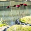 Red Poppy Sways, Set Of 5