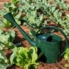 Long Reach Watering Can, Large -Garden Care Store 8613346 0149
