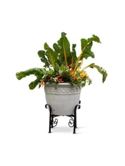 Covington Adjustable Plant Stands -Garden Care Store 8613347 0119