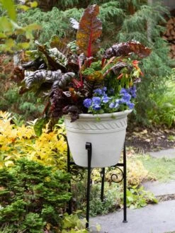 Covington Adjustable Plant Stands -Garden Care Store 8613348 0114