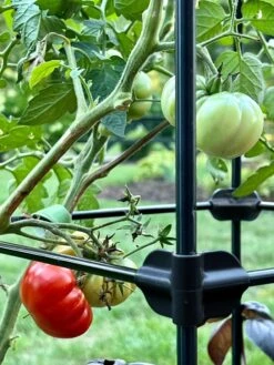 Oasis Self-Watering Tomato Planter With Trellis -Garden Care Store 8613440 01TEST