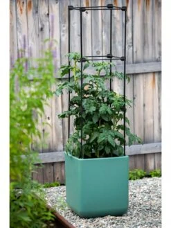 Oasis Self-Watering Tomato Planter With Trellis -Garden Care Store 8613440 0373 3 4