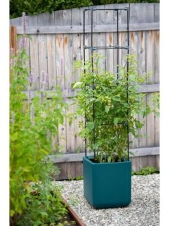Oasis Self-Watering Tomato Planter With Trellis -Garden Care Store 8613440 0376 3 4 2