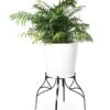 Aubrey Adjustable Plant Stand 1 Aubrey Adjustable Plant Stand -Garden Care Store 8613454 5716 aubrey adjustable plant stand