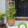 Elevated Bamboo Tomato Planter And Trellis -Garden Care Store 8613502 13