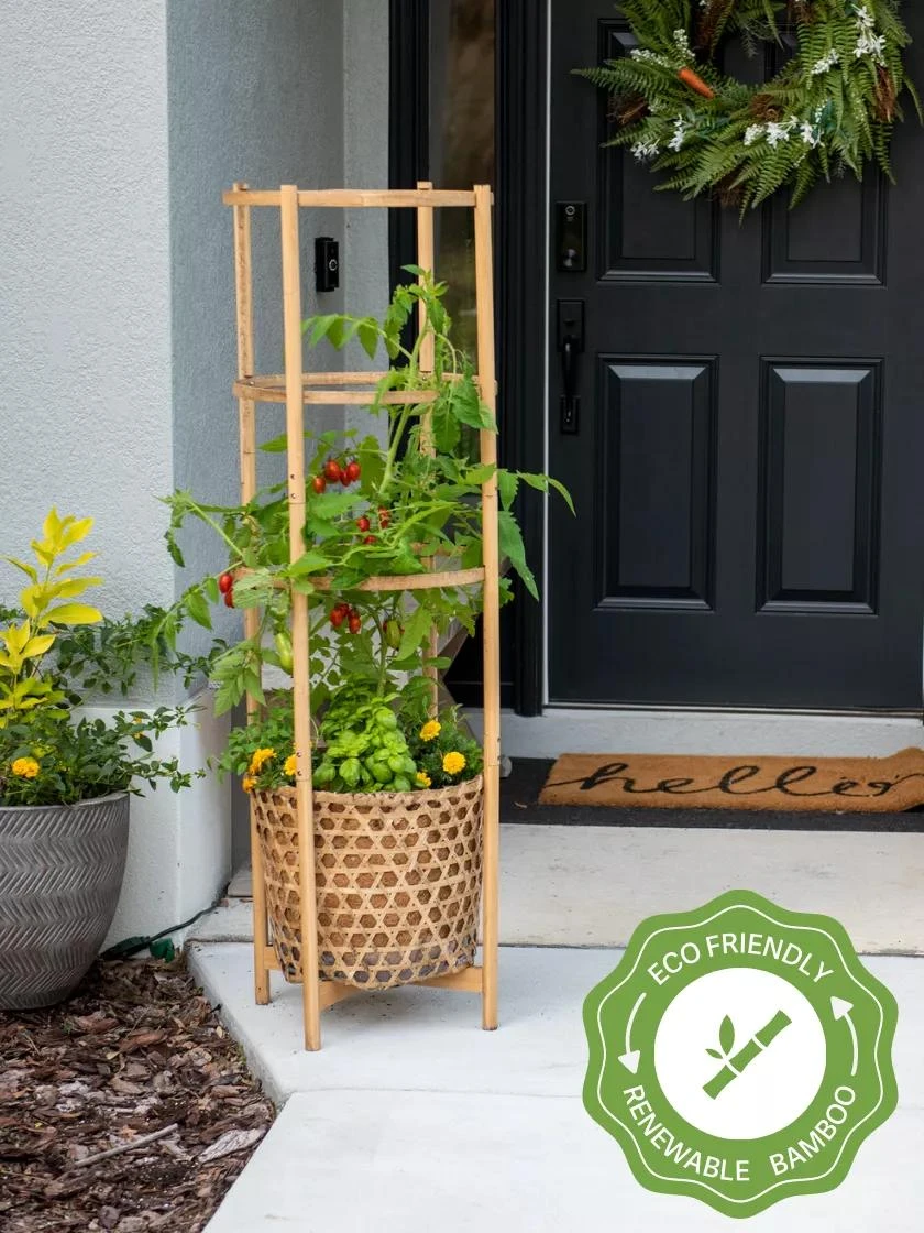Elevated Bamboo Tomato Planter And Trellis 3 Elevated Bamboo Tomato Planter And Trellis