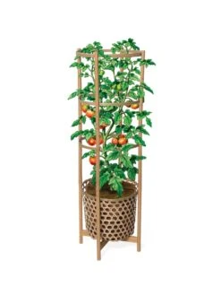 Elevated Bamboo Tomato Planter And Trellis 15 Elevated Bamboo Tomato Planter And Trellis -Garden Care Store 8613502 art flat