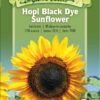Hopi Black Dye Sunflower Organic Seeds -Garden Care Store 8613630 01v hopi black dye sunflower