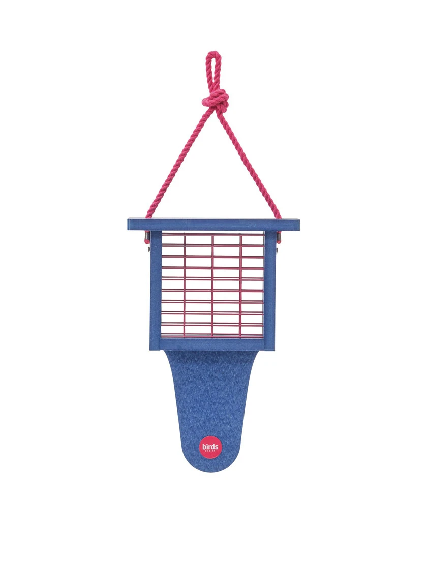Color Pop Suet Feeder With Tail Prop From Recycled Plastic 3 Color Pop Suet Feeder With Tail Prop From Recycled Plastic