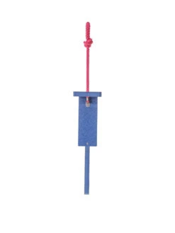Color Pop Suet Feeder With Tail Prop From Recycled Plastic 11 Color Pop Suet Feeder With Tail Prop From Recycled Plastic -Garden Care Store 8613787 04v