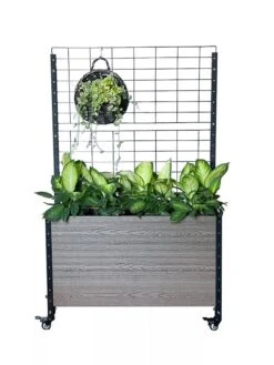 Mobile Deep Trough Planter With Trellis 9 Mobile Deep Trough Planter With Trellis -Garden Care Store 8614265 03V