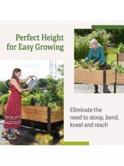 Elevated Planter Box, 2' X 8' -Garden Care Store B00EOW8FHU raisedbed benefits