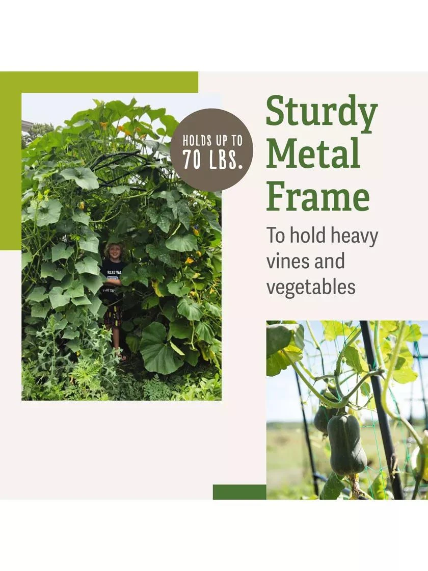 Titan Squash Tunnel 5 Titan Squash Tunnel - Image 3