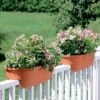 2' X 4' Railing Planter, 25" -Garden Care Store GS34336 01 24 inch 2x6 railing planters