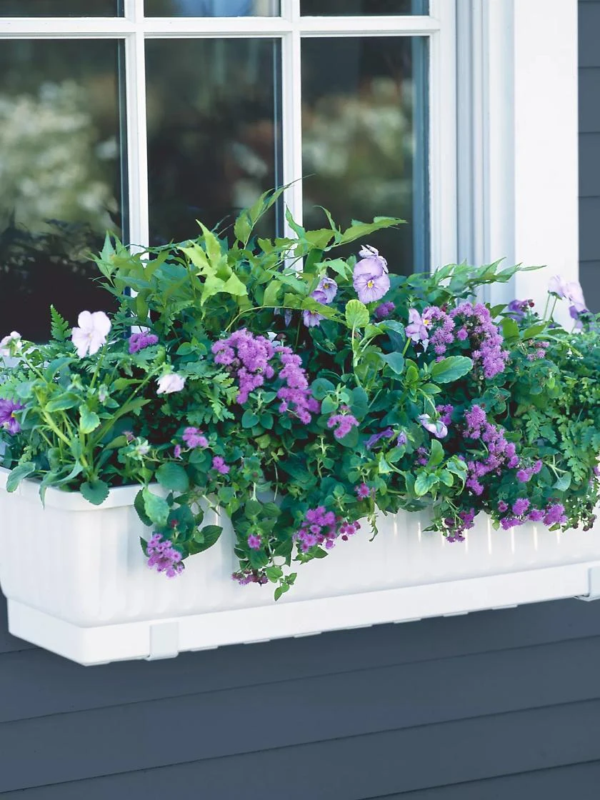 23" Self-Watering Window Box 3 23" Self-Watering Window Box
