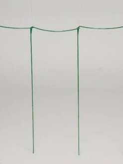 Curved Linking Stakes 10 Curved Linking Stakes -Garden Care Store GS35241 04S tif