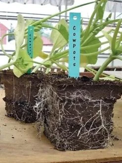 2-3/4" Square Cowpots 6-Packs, Set Of 4 -Garden Care Store GS37034 05