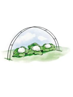 Super Hoops, Set Of 6 10 Super Hoops, Set Of 6 -Garden Care Store GS39423 02S 3 4