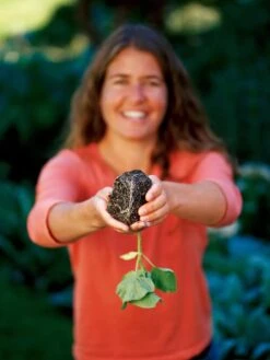 Deep Root Seedstarting System, Black -Garden Care Store GSCOVSPR06D2 01